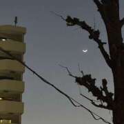 ヒメ日記 2026/03/22 10:57 投稿 まほ 東京人妻セレブリティ（ユメオト）