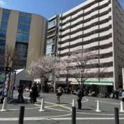 ヒメ日記 2026/03/28 12:07 投稿 ゆうき サティアンまーと