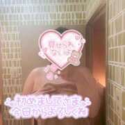 みみ 💌ありがとう💌 静岡駅前ちゃんこ