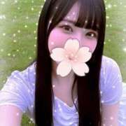 ヒメ日記 2026/02/11 05:17 投稿 きらり☆ガチ恋注意！？神ルックス 東京女子大生グランプリ