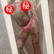 ヒメ日記 2026/09/25 14:34 投稿 釜崎 あゆ TOKYO PINK PANTHER
