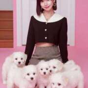 ヒメ日記 2026/02/13 01:55 投稿 橘 芹那 TOKYO PINK PANTHER