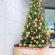 ヒメ日記 2025/12/15 11:58 投稿 末松凛子(りこ) 東京不倫～とうきょうふりん～