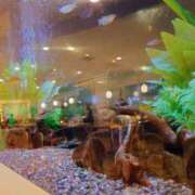 ヒメ日記 2025/12/22 17:48 投稿 末松凛子(りこ) 東京不倫～とうきょうふりん～