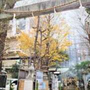 ヒメ日記 2026/01/01 03:48 投稿 末松凛子(りこ) 東京不倫～とうきょうふりん～