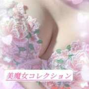 月(るな)♥完全無欠絶対勝利 本日も🌸 美魔女コレクション