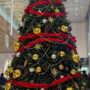 ヒメ日記 2025/12/21 13:46 投稿 アカネ マテリアル