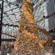 ヒメ日記 2025/12/26 13:01 投稿 アカネ マテリアル