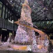 ヒメ日記 2026/02/06 13:01 投稿 アカネ マテリアル