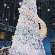 ヒメ日記 2025/12/15 23:13 投稿 ひかり★巨乳×18歳清純派JD Chloe五反田本店　S級素人清楚系デリヘル