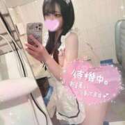 ヒメ日記 2026/01/16 05:47 投稿 こはく 川崎ソープ　クリスタル京都南町