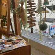 イヴ 耳つぼジュエリー💍✨ 三浦屋別館