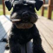 ヒメ日記 2025/12/12 08:00 投稿 イヴ 三浦屋別館