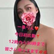 一条　りん 一条　りん（奥様さくら日本橋店） 奥様さくら日本橋店