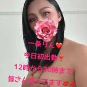 一条　りん 一条　りん（clubさくら日本橋店） club さくら日本橋店