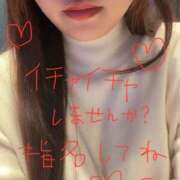 ヒメ日記 2025/12/14 21:02 投稿 ものみ 新宿サンキュー