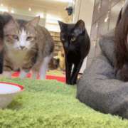 ヒメ日記 2025/12/09 15:47 投稿 もか ハピネス東京