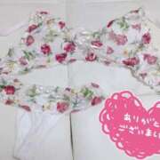 ヒメ日記 2025/12/06 23:33 投稿 梅 モアグループ大宮人妻花壇