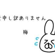 ヒメ日記 2026/03/17 07:42 投稿 梅 モアグループ大宮人妻花壇