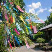 ヒメ日記 2026/07/07 09:55 投稿 ねね ピンクハウス（横浜）