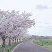 ヒメ日記 2026/04/12 16:33 投稿 桜庭 みゆう 高級出張性感マッサージ＆回春エステ セレブリフレ