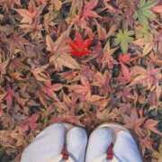 ヒメ日記 2026/03/14 03:00 投稿 花咲るん【PREMIUM】 素人専門　街角レディ