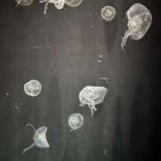 ゆき ゆったり癒し時間🐬🩵 ていくぷらいど.学園