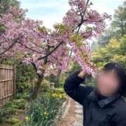 ヒメ日記 2026/03/09 23:11 投稿 ゆき ていくぷらいど.学園