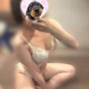 ヒメ日記 2026/06/30 08:15 投稿 ゆき ていくぷらいど.学園