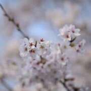 ヒメ日記 2026/04/02 19:42 投稿 ゆずは 大塚デリ姫