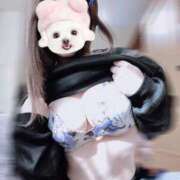 ヒメ日記 2026/02/17 15:18 投稿 あん アップル(長崎)