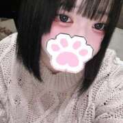 ヒメ日記 2025/12/19 19:03 投稿 しおり OPフルコース