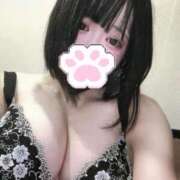 ヒメ日記 2025/12/20 01:04 投稿 しおり OPフルコース