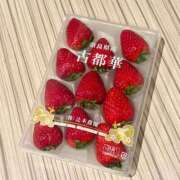 ヒメ日記 2026/04/01 01:40 投稿 えま 舐めフェチの会