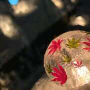 ヒメ日記 2026/01/24 16:04 投稿 立花 かれん Mの世界