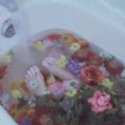 ヒメ日記 2026/02/06 16:19 投稿 立花 かれん Mの世界