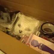 ヒメ日記 2025/12/07 23:12 投稿 アマネお嬢様 M&m Maidとm男の夢物語。