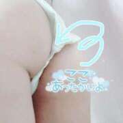 れい 正常位？バック？💖 変態どっとこむ～即尺痴女伝説～（木更津）