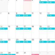 せいな 12月 渋谷角海老