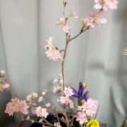 ヒメ日記 2026/02/25 19:59 投稿 エリナ 豊満奉仕倶楽部