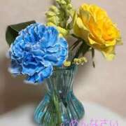 ヒメ日記 2026/01/22 21:11 投稿 エリナ 人妻熟女奉仕倶楽部