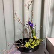 ヒメ日記 2026/02/04 19:50 投稿 エリナ 人妻熟女奉仕倶楽部