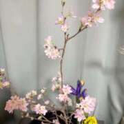 エリナ 満開♡ 人妻熟女奉仕倶楽部