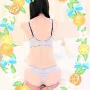 ヒメ日記 2025/12/28 10:15 投稿 のばら ロイヤル土佐