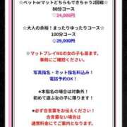 ヒメ日記 2025/12/30 18:09 投稿 のばら ロイヤル土佐