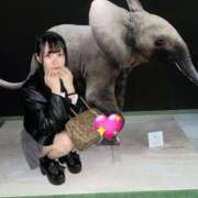 ヒメ日記 2025/12/05 19:07 投稿 まな 美スタイルな究極の彼女 L＆Jブラザーズ