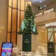 ヒメ日記 2025/12/04 22:40 投稿 椎名 あおい セカンドパートナー池袋