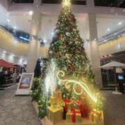 ヒメ日記 2025/12/25 13:00 投稿 椎名 あおい セカンドパートナー池袋