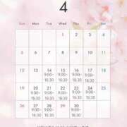 ヒメ日記 2026/04/13 12:20 投稿 ひとみ　奥様 SUTEKIな奥様は好きですか?