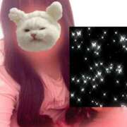 ヒメ日記 2025/12/08 11:55 投稿 むう 宮崎ちゃんこ都城店